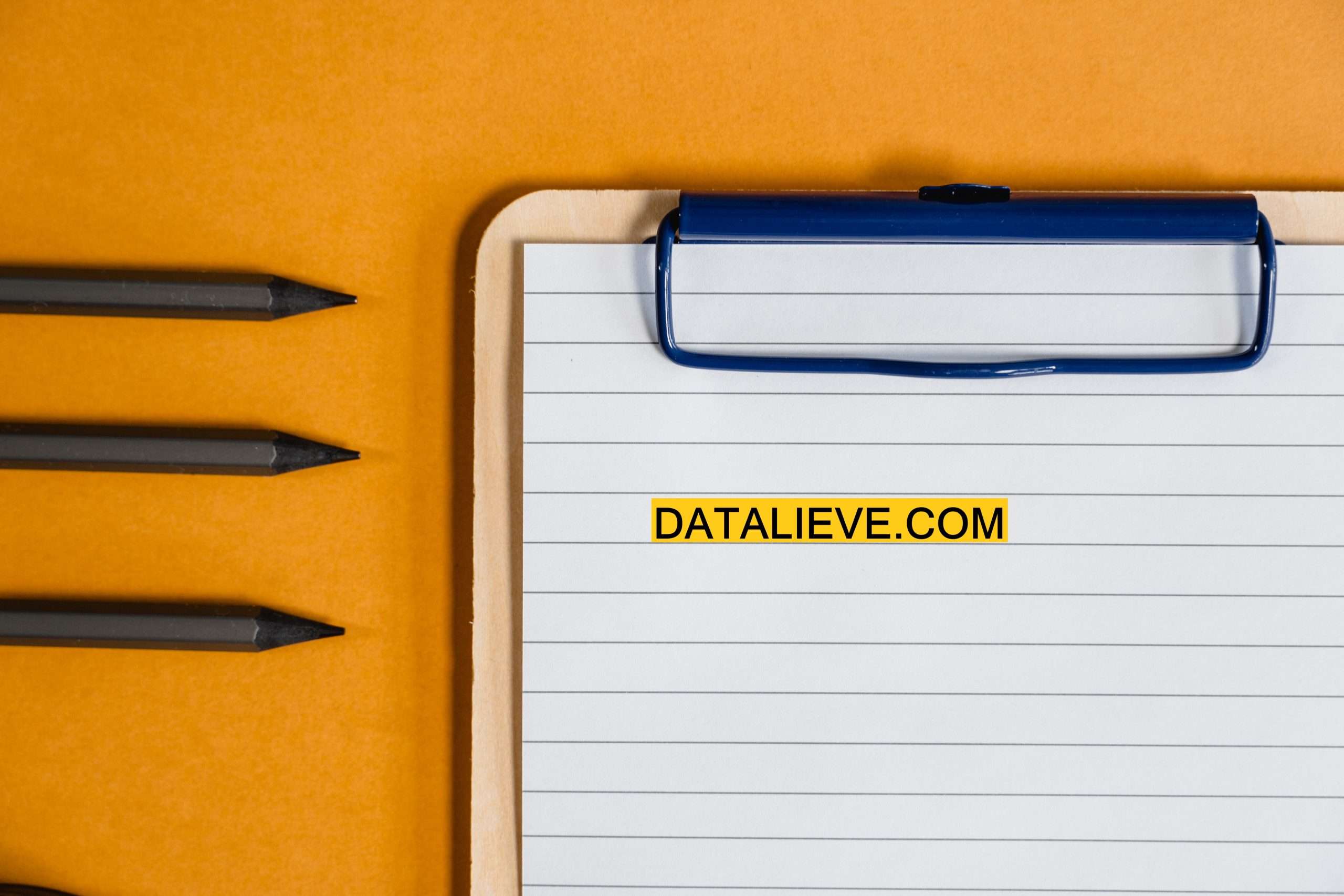 Datalieve Image Logo